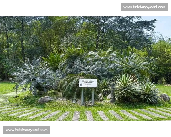 金杯赛非洲独苗：南非 2005 年的跨洋之旅