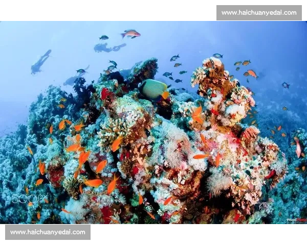 雨幕中的泳者：拥抱自然的清凉仪式