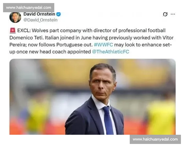 狼队官宣泰蒂出任职业足球总监 前罗马高管加盟强化战略体系